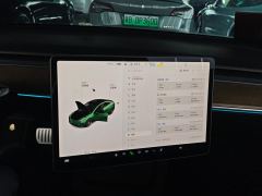 Tesla Model 3 Performance High-Performance AWD Version - ფოტო 17