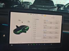 Tesla Model 3 Performance High-Performance AWD Version - ფოტო 20