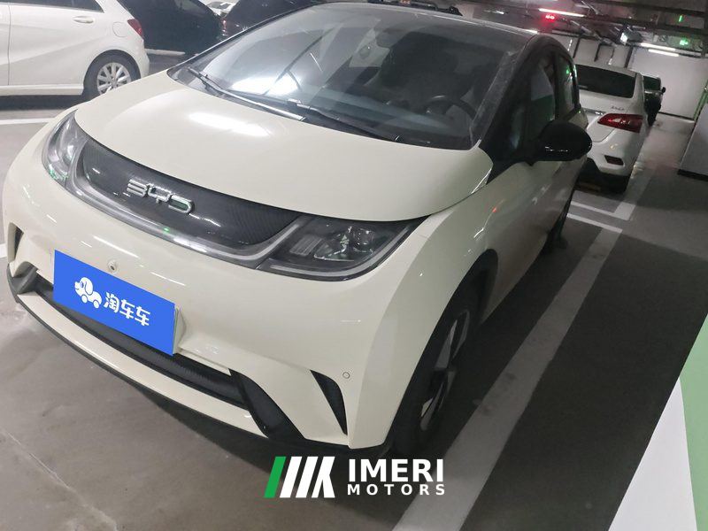 BYD Dolphin 420km Stylish Edition - ავტომობილი ჩინეთიდან