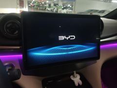 BYD Dolphin 420km Stylish Edition - ფოტო 17