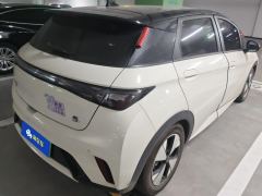 BYD Dolphin 420km Stylish Edition - ფოტო 2