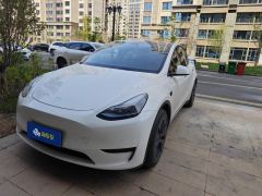Tesla Model Y 554km Rear-Wheel Drive Edition - фото 1