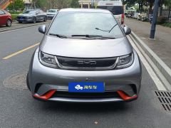 BYD Dolphin 405km Free Version - photo 3