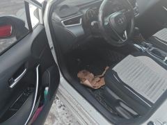 Toyota Corolla Dual-Engine 1.8L Pioneer Edition - ფოტო 14