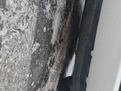 Toyota Corolla Dual-Engine 1.8L Pioneer Edition - ფოტო 8