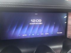 Tank 300 Off-Road Edition 2.0T Challenger - ფოტო 17