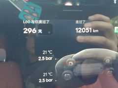 Onvo L60 555km Rear Drive Standard Endurance Edition 60kWh - ფოტო 20