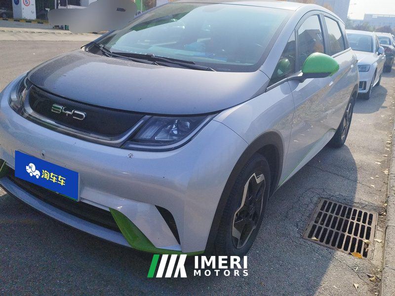 BYD Dolphin 405km Stylish Edition - ავტომობილი ჩინეთიდან