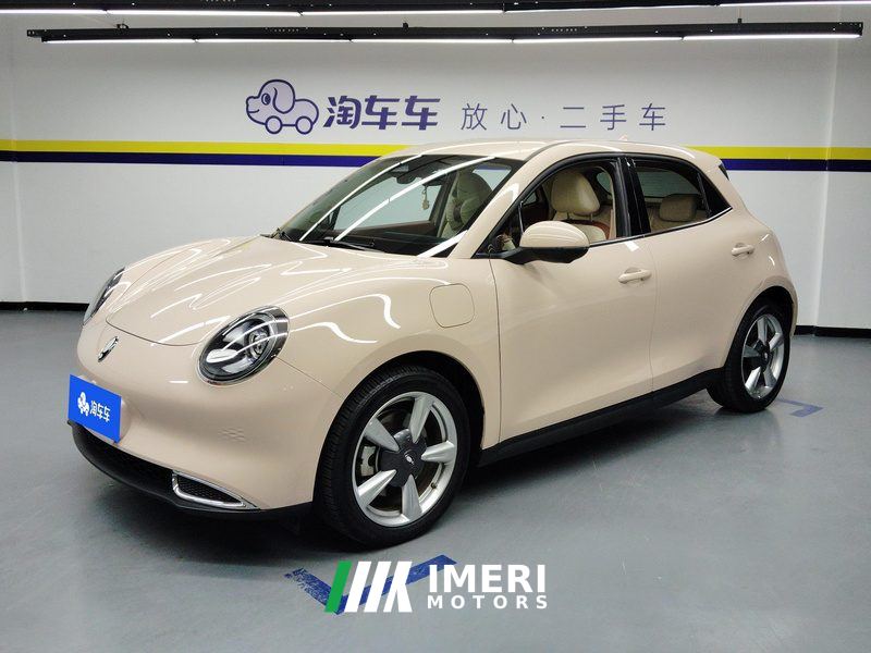 Ora Great Wall Good Cat 401km Luxury Edition - ავტომობილი ჩინეთიდან