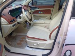 Ora Great Wall Good Cat 401km Prestigious Edition - ფოტო 14