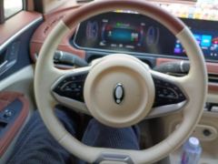 Ora Great Wall Good Cat 401km Prestigious Edition - ფოტო 18