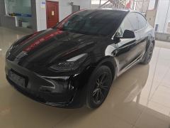 Tesla Model Y 554km Rear-Wheel Drive Edition - фото 1