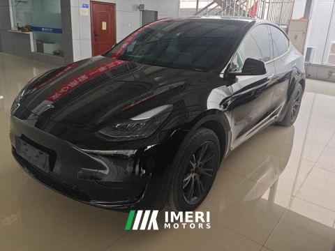 2023 Tesla Model Y 554km Rear-Wheel Drive Edition - автомобиль из Китая