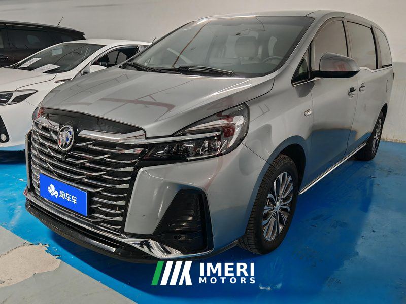 Buick GL8 Land Business Class 2.0T Comfort Edition 7-seater