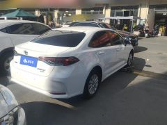 Toyota Corolla 1.2T S-CVT Pioneer PLUS Version - ფოტო 2