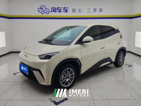 2025 BYD Seagull 305km Vitality Edition - ავტომობილი ჩინეთიდან