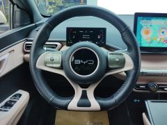 BYD Seagull 305km Vitality Edition - photo 18