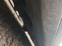 Toyota Vios FS Vichy FS 1.5L CVT Fenchi version - ფოტო 10