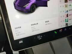 Tesla Model Y Standard endurance rear-wheel drive - фото 20