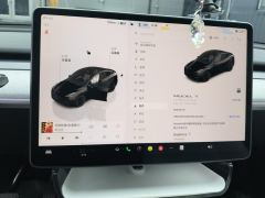 Tesla Model Y 688km Long Range AWD - фото 20
