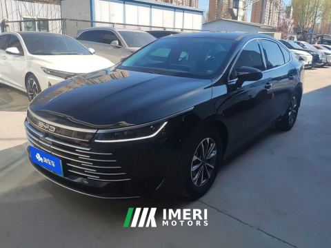 2023 BYD Destroyer 05 DM-i Champion Edition 1.5L 55km Luxury Edition - ავტომობილი ჩინეთიდან