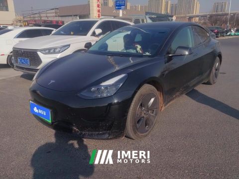 2022 Tesla Model 3 556km Rear-Wheel Drive Edition - ავტომობილი ჩინეთიდან
