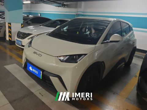 2023 BYD Seagull 305km Free Version - car from China