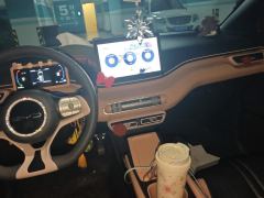 BYD Seagull 305km Free Version - photo 17