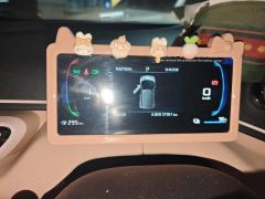 BYD Seagull 305km Free Version - photo 20
