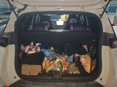 BYD Seagull 305km Free Version - photo 7