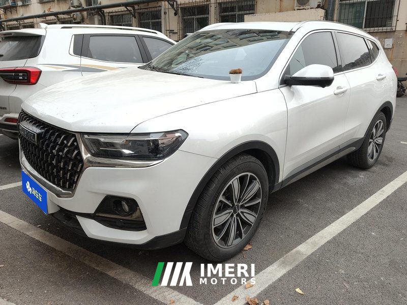 Haval H6 Guochao Edition 1.5T 2WD Champion Edition