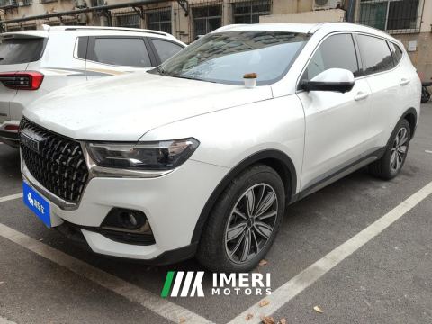2023 Haval H6 Guochao Edition 1.5T 2WD Champion Edition - ავტომობილი ჩინეთიდან