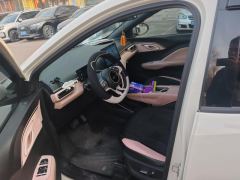BYD Seagull 405km Flying Edition - ფოტო 14