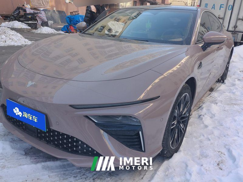 Neta S EREV Edition 310km 1160 Edition