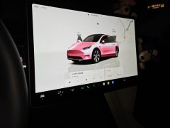 Tesla Model Y Facelift 545km Rear-Wheel Drive Edition - ფოტო 17