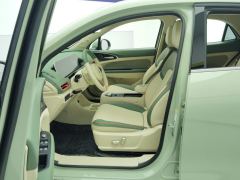 Ora Great Wall Good Cat 401km Standard Range Luxury Edition Lithium iron phosphate - photo 14