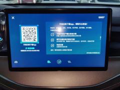 BYD Tang DM-i 1.5T 112KM Precursor Premium - photo 17