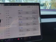 Tesla Model 3 606km Rear-Wheel Drive Edition - ფოტო 20