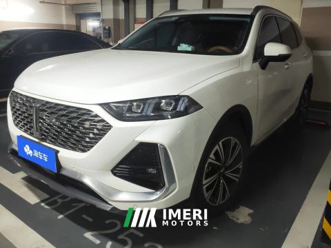 2022 Great Wall Wei brand latte 1.5T DHT