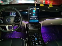 BYD Qin PLUS DM-i 120km Flagship - photo 16