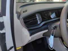 Denza D9 DM-i 1.5T 180km AWD Version 7 - ფოტო 13