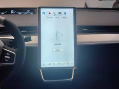 Neta AYA 318km 318 Lite - ფოტო 17