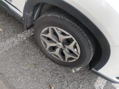 Subaru Forester 2.0i AWD Luxury Edition EyeSight - фото 6
