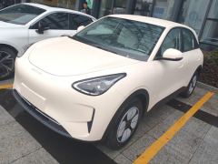 Geely Star Wish 310km Edition - ფოტო 1