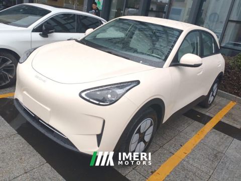 2025 Geely Galaxy Star Wish 310km Youth Edition - автомобиль из Китая