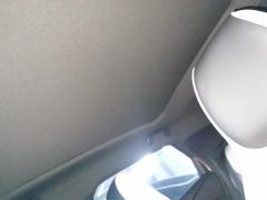 BYD Dolphin 405km Stylish Edition - ფოტო 15