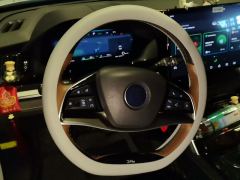 BYD Tang DM-i Champion Edition 1.5T 112km Precursor Premium 7-seater - фото 18
