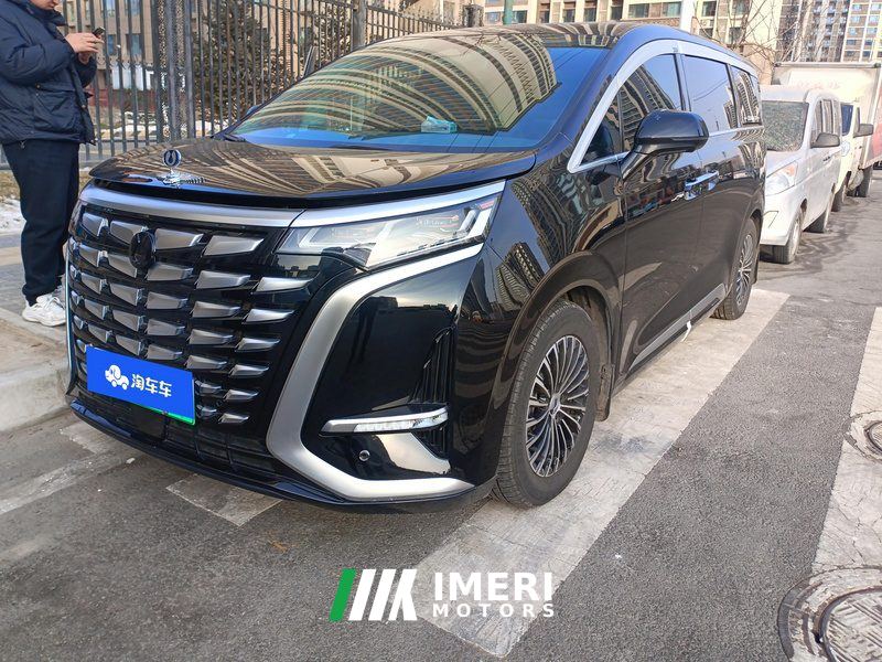 Denza D9 DM-i 1.5T 180km AWD Version 7 - car from China