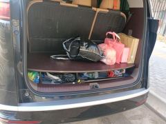 Denza D9 DM-i 1.5T 180km AWD Version 7 - photo 7