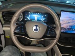 Denza D9 DM-i 1.5T 180km AWD Version 7 - ფოტო 18